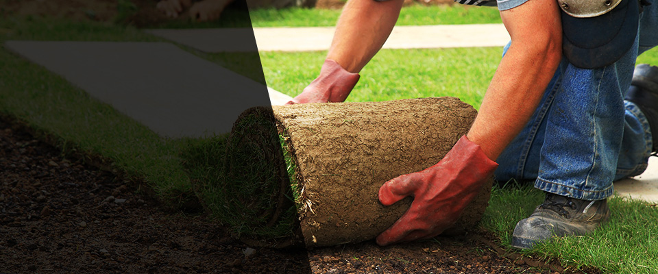 Weehawken Landscapers